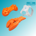 Ultimate Neck & Back Bundle