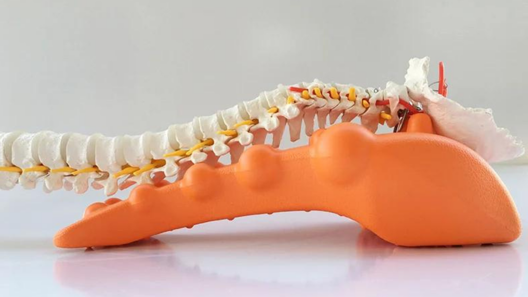 SighRelief CerviPoint massager on spine model